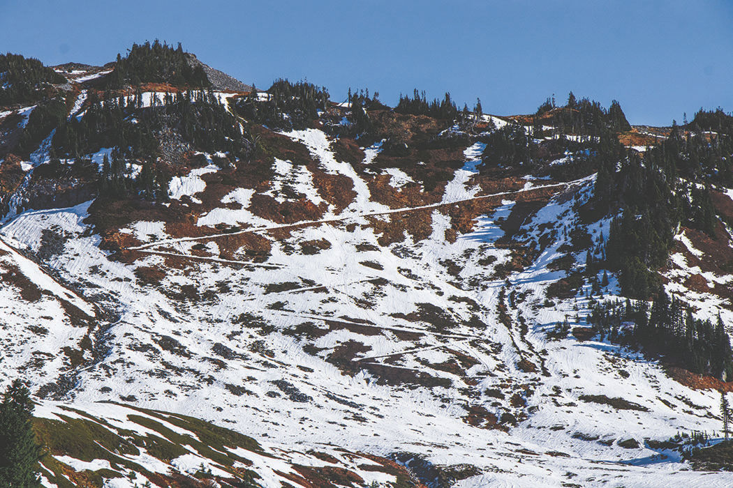 Photos: From Paradise in Mount Rainier National Park